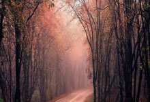 乌克兰客场击败列支敦士登，实现三连胜