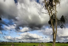 萨斯索罗在主场逼平对手，积分榜位置保持平稳