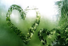 利物浦神奇绝杀，晋级无望转机