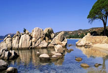 奥地利主场胜摩尔多瓦，小组第一位置稳固