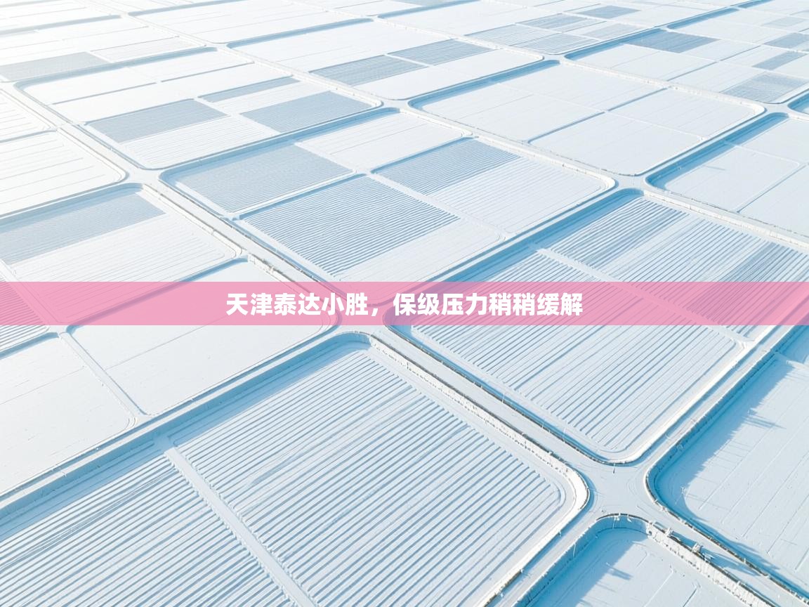 天津泰达小胜，保级压力稍稍缓解