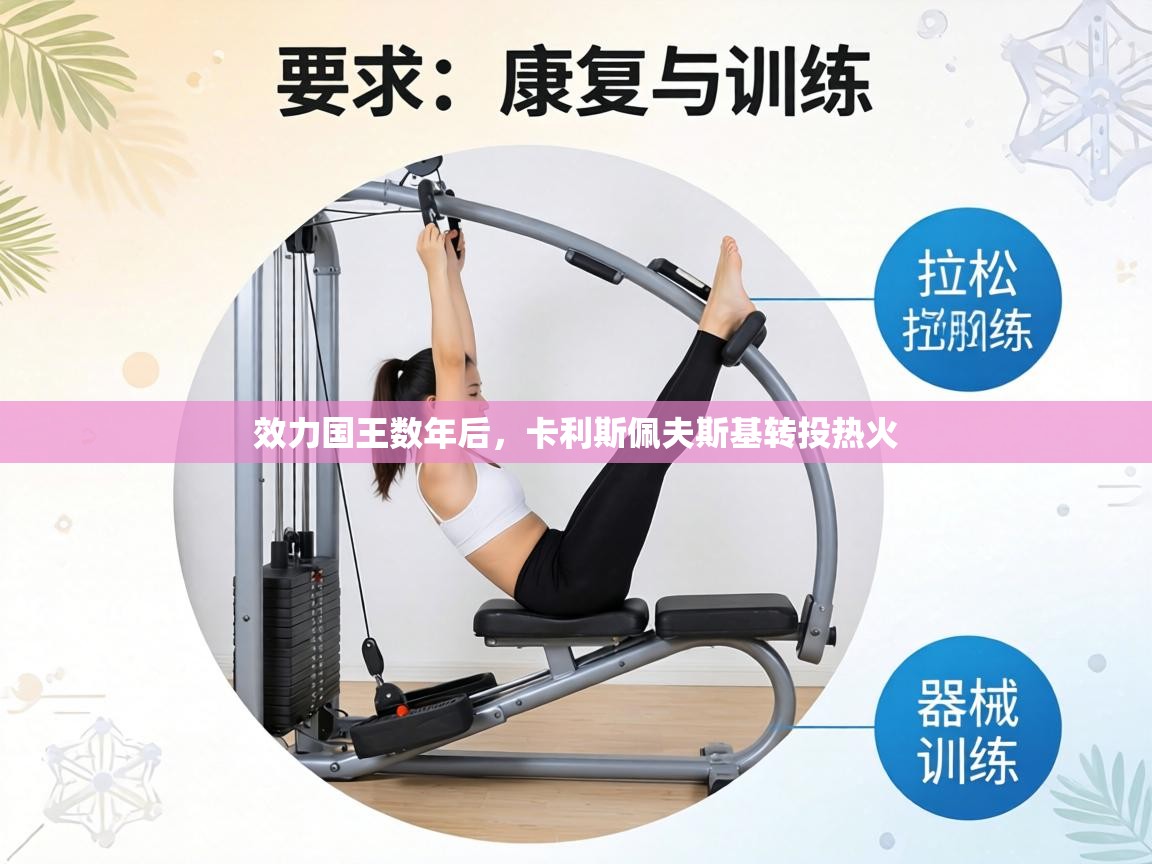 效力国王数年后,卡利斯佩夫斯基转投热火 第1张